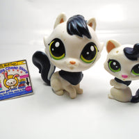 Littlest Pet Shop Glossy Corazon and Lara Felinsky #321, #322