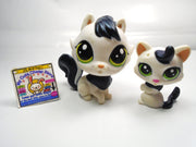 Littlest Pet Shop Glossy Corazon and Lara Felinsky #321, #322