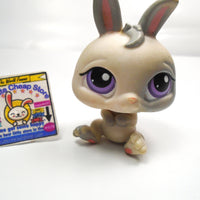 Littlest Pet Shop dwarf Bunny