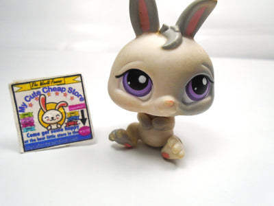 Littlest Pet Shop dwarf Bunny