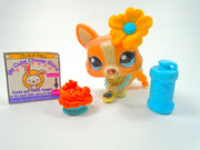 Littlest Pet Shop Rare Orange Cream Glitter Corgi #2290 & accessories authentic