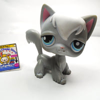 Littlest Pet Shop gray Angora cat #345