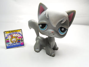 Littlest Pet Shop gray Angora cat #345