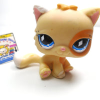 Littlest Pet Shop Persian cat #521