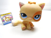 Littlest Pet Shop Persian cat #521