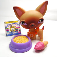 Littlest Pet Shop Chihuahua #1 with accessories