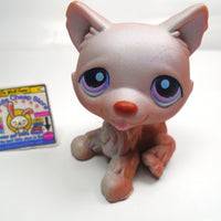 Littlest Pet Shop sitting Husky dog #38