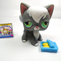 Littlest Pet Shop rare gray Angora cat with sardines