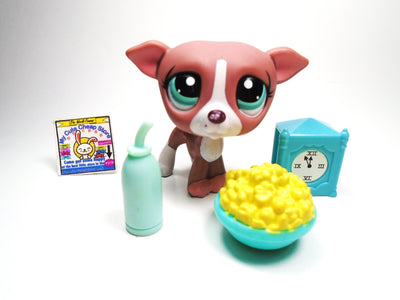 Littlest Pet Shop Greyhound dog #1585 with accessories