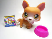 Littlest Pet Shop Corgi dog #183 with a plate