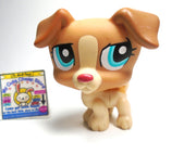 Littlest Pet Shop Jack Russell #1302