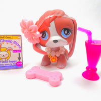 Littlest Pet Shop Brown Beagle #849 with cute accessories authentic