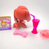 Littlest Pet Shop Brown Beagle #849 with cute accessories authentic