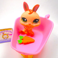Littlest Pet Shop Brown Dwarf Bunny #1596 with cute accessories authentic