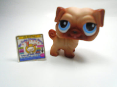 Littlest Pet Shop Pug #1313