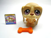 Littlest Pet Shop Basset Hound #1465 with a bone