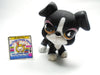 Littlest Pet Shop Boxer #826