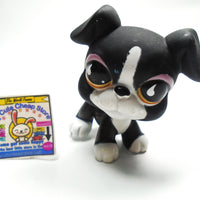 Littlest Pet Shop Boxer #826