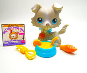 Littlest Pet Shop Gray white Collie #363 with cute accessories Authentic