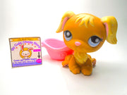 Littlest Pet Shop Rare Golden Retriever #951 with cute accessories authentic