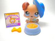 Littlest Pet Shop Boxer Puppy Dog #143 with cute accessories authentic