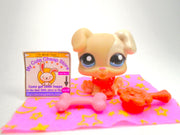 Littlest Pet Shop Cream White Boxer Puppy Dog #1706 & cute accessories authentic