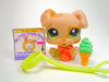 Littlest Pet Shop Brown Boxer Puppy Dog #1353 with cute accessories authentic