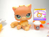 Littlest Pet Shop Rare Brown Persian Cat #1063 with cute accessories authentic