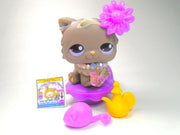 Littlest Pet Shop Grey Hungriest Persian Cat #973 & cute accessories authentic