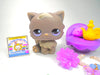 Littlest Pet Shop Grey Hungriest Persian Cat #973 & cute accessories authentic