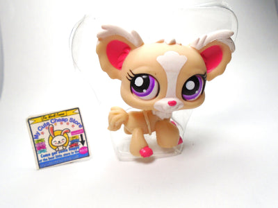 Littlest Pet Shop Chihuahua # 1892 New Open box My Cute Cheap Store