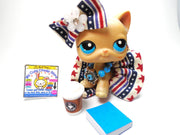 Littlest Pet Shop short hair cat #228 with cute accessories My Cute Cheap Store