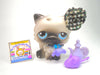 Littlest Pet Shop Siamese Persian Cat #60 with cute accessories authentic