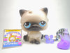 Littlest Pet Shop Siamese Persian Cat #60 with cute accessories authentic