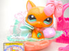 Littlest Pet Shop Brown Walking Destiny Cat #1100 & cute accessories authentic