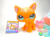 Littlest Pet Shop Brown Walking Destiny Cat #1100 & cute accessories authentic