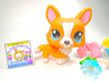 Littlest Pet Shop Rare Orange Corgi #1360 with cute accessories Authentic