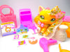 Littlest Pet Shop Rare Yellow Short Hair Cat #2194 & cute accessories Authentic
