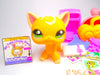 Littlest Pet Shop Rare Yellow Short Hair Cat #2194 & cute accessories Authentic