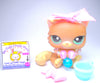 Littlest Pet Shop Rare Brown Persian Cat #1063 with cute accessories authentic