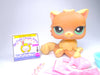 Littlest Pet Shop Rare Brown Persian Cat #1063 with cute accessories authentic