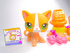 Littlest Pet Shop Short Hair Cat #72 with cute accessories