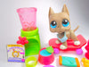 Littlest Pet Shop Grey Great Dane #184 with accessories Authentic