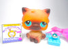 Littlest Pet Shop Brown Siamese Persian Cat #22 with cute accessories authentic