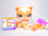 Littlest Pet Shop Rare Peach Cream Persian Cat #1657 with accessories authentic