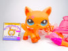 Littlest Pet Shop Rare Orange Walking Destiny Cat #2258 with cute accessories