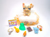 Littlest Pet Shop Rare Cream White Angora Cat #1047 & cute accessories authentic