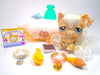 Littlest Pet Shop Rare Cream White Angora Cat #1047 & cute accessories authentic