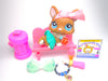 Littlest Pet Shop Rare Brown White Corgi Dog #949 & cute accessories Authentic