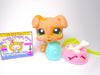 Littlest Pet Shop Brown Boxer Puppy Dog #1353 with cute accessories authentic